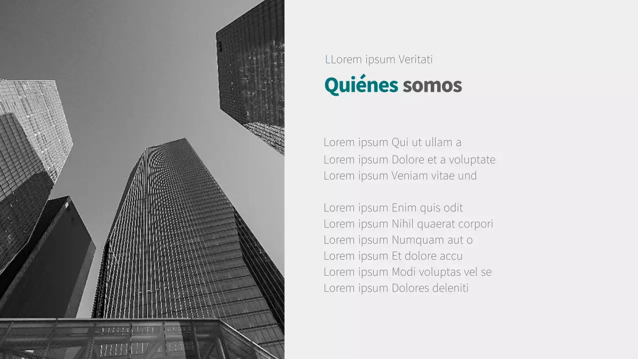 Perfil de la empresa