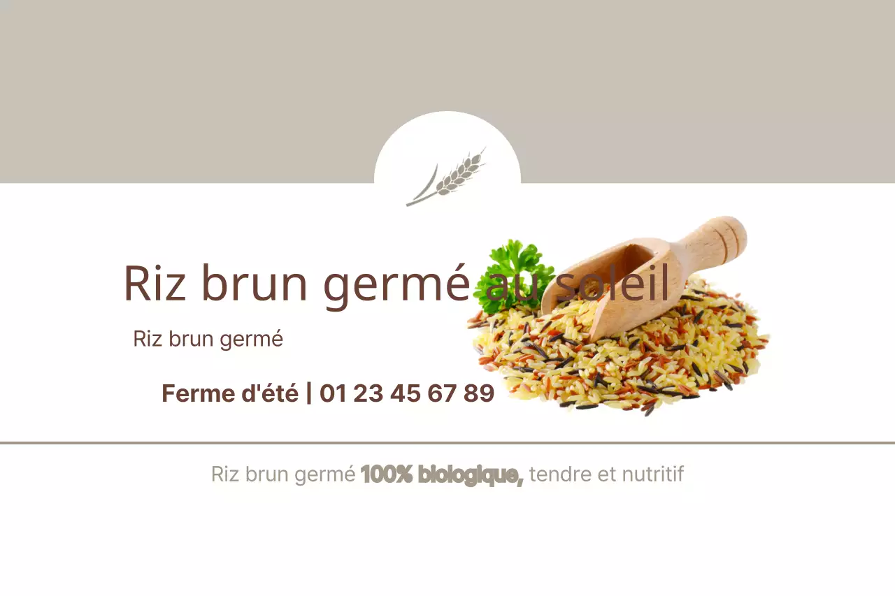 Riz brun germé au soleil
