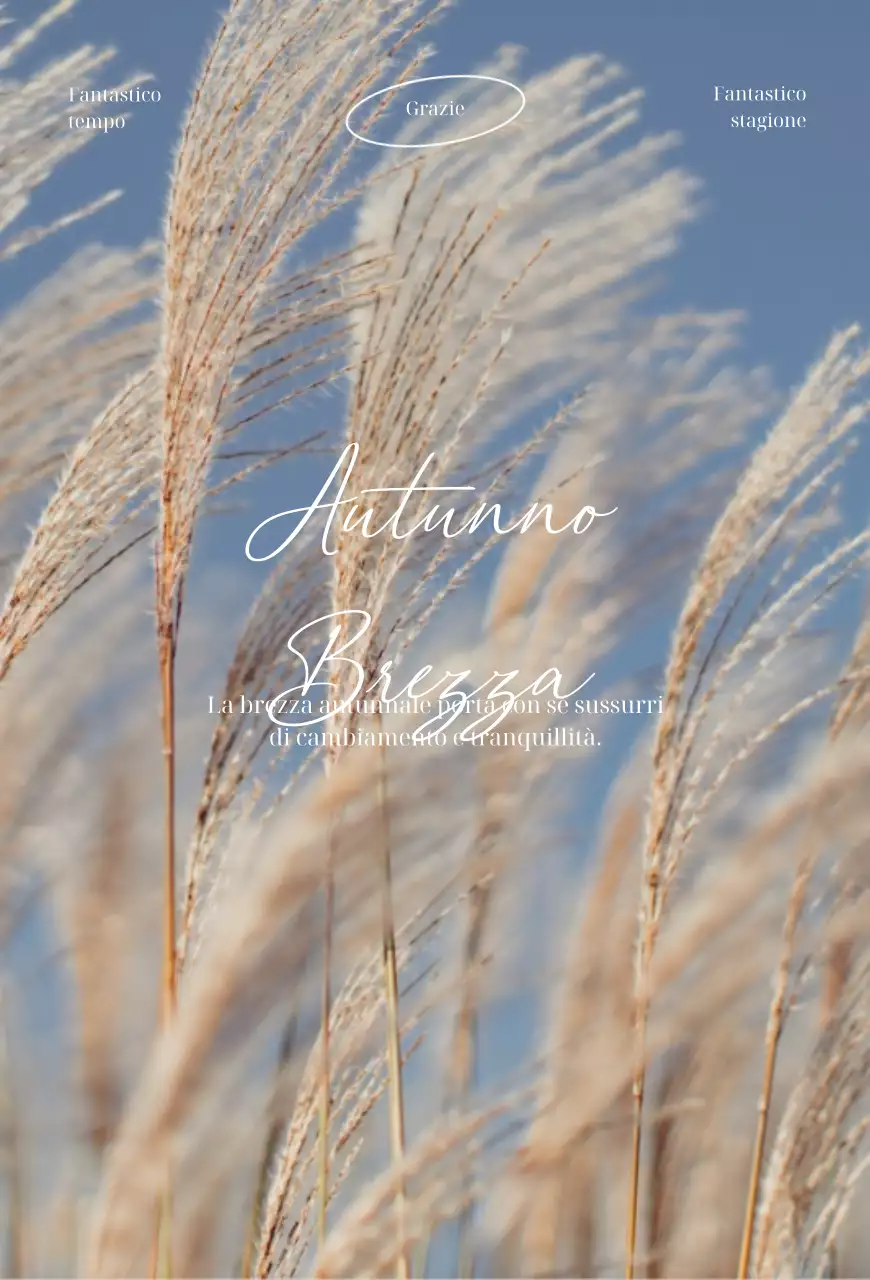 Autunno canna sfondo interno foto in azzurro