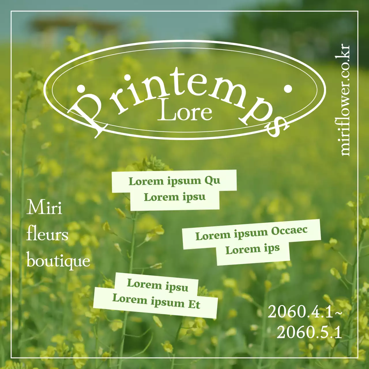 Événement printanier dans un champ de fleurs jaunes