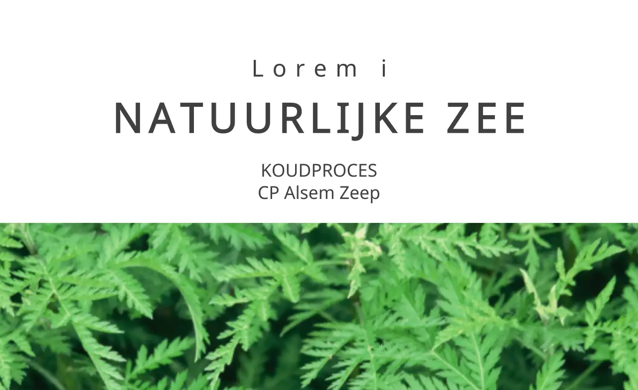 NATUURLIJKE ZEE