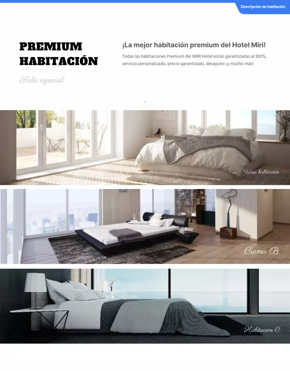 Detalles de los hoteles en azul