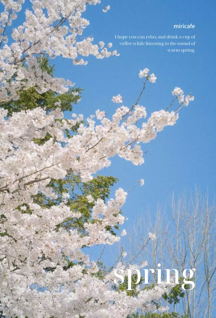 日本的な感性の桜の春をコンセプトにしたグッズデザイン