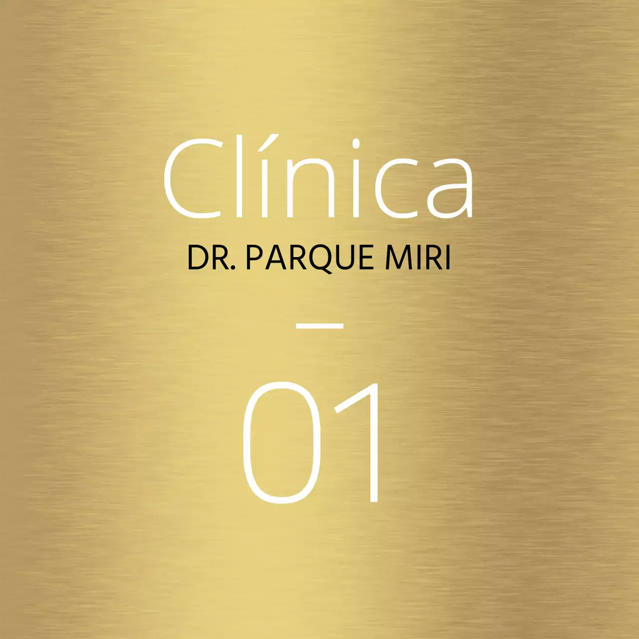 Diseño sencillo de la guía de lugares con líneas blancas y topónimos de hospitales