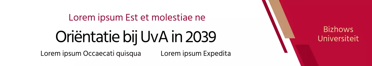 Workshop banner (horizontaal)