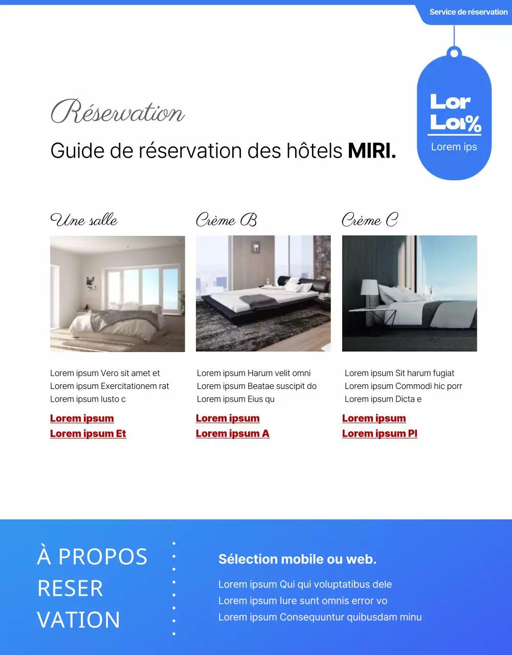 Détails des hôtels en bleu