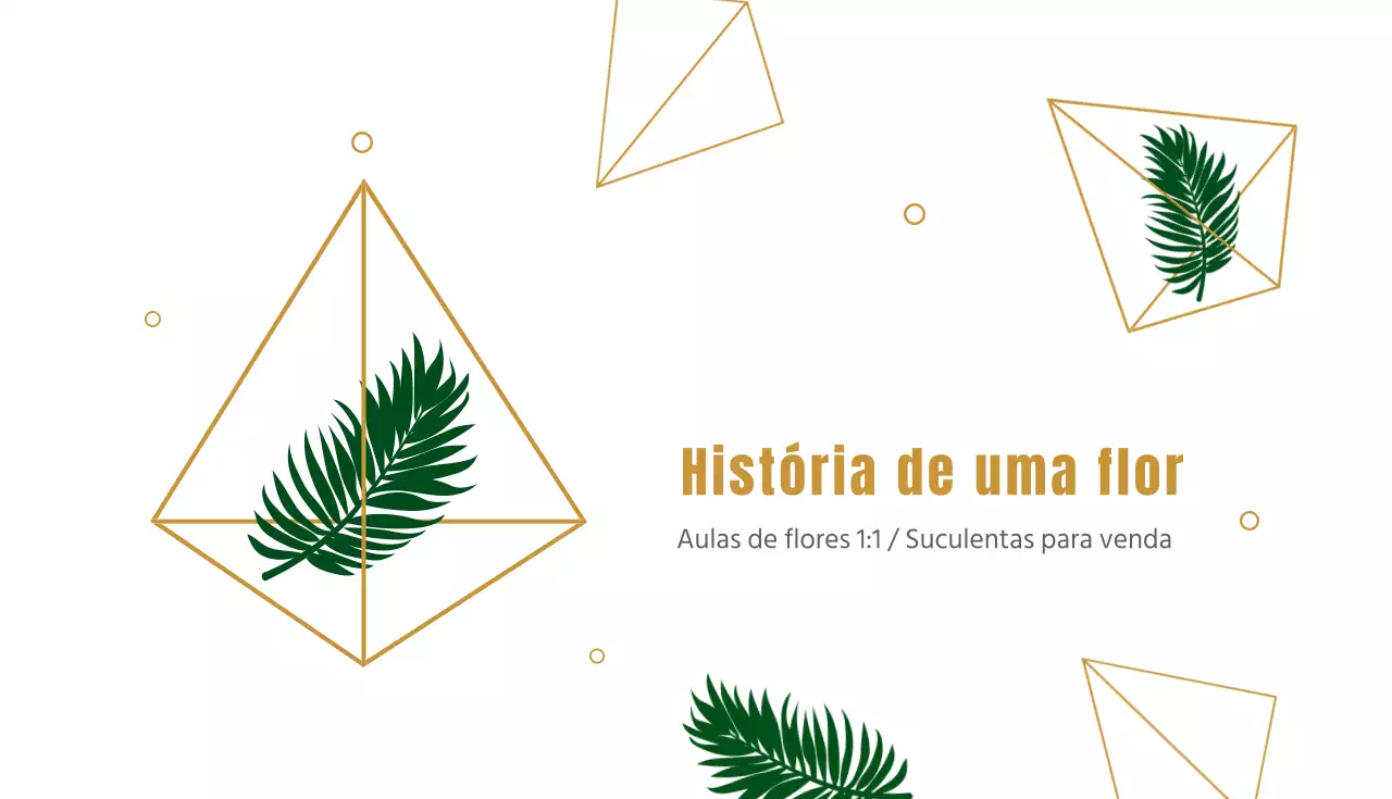 História de uma flor