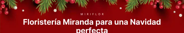 Guirnalda roja Florist Christmas Banner