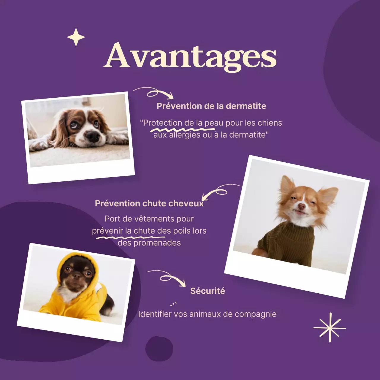 Vêtements pour chiens aux couleurs vives