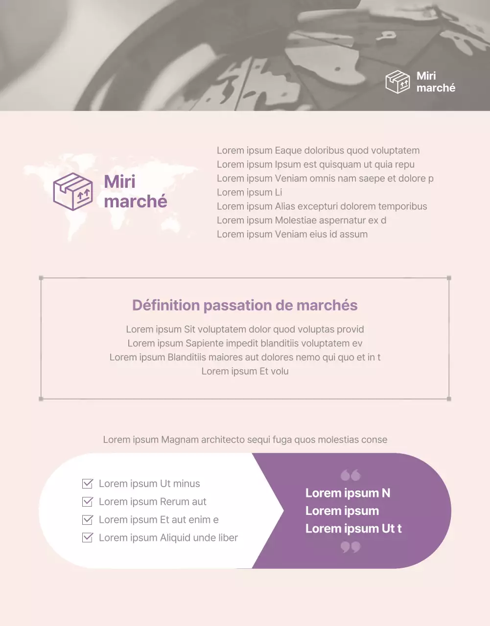 Page détaillée simple sur les achats outre-mer avec des accents violets