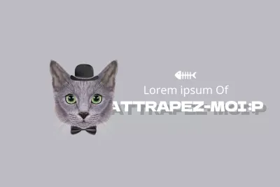 Friandises pour chiens Premium Organic