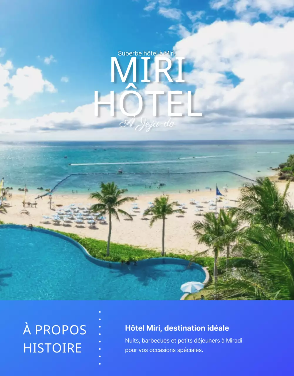 Détails des hôtels en bleu