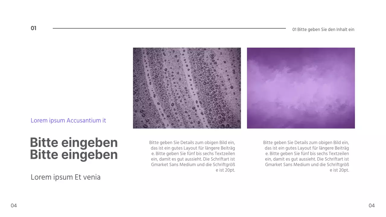 Blaubeer-Präsentation