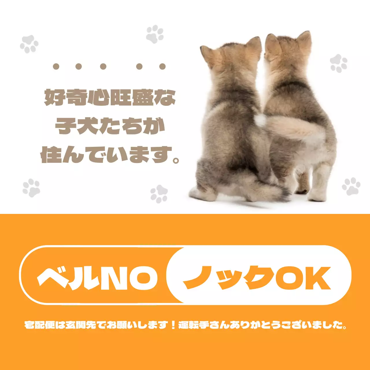 オレンジ色のかわいい子犬ペット犬用家庭用