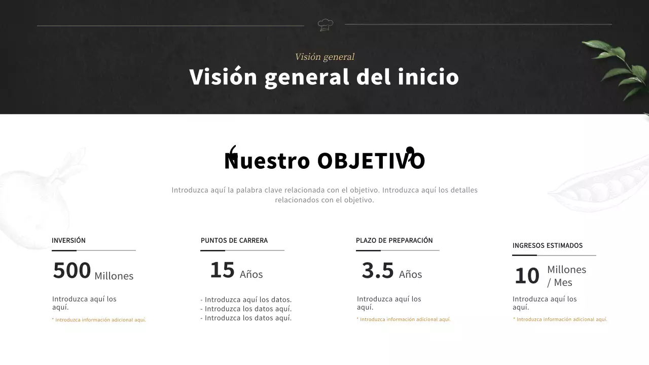 Plan de negocio para una empresa de fiambreras negras en inglés