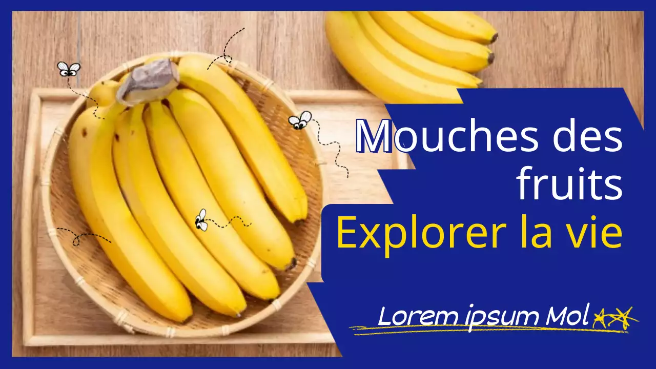 Banane en bleu et jaune Photo Mouche du fruit Exploration de la vie