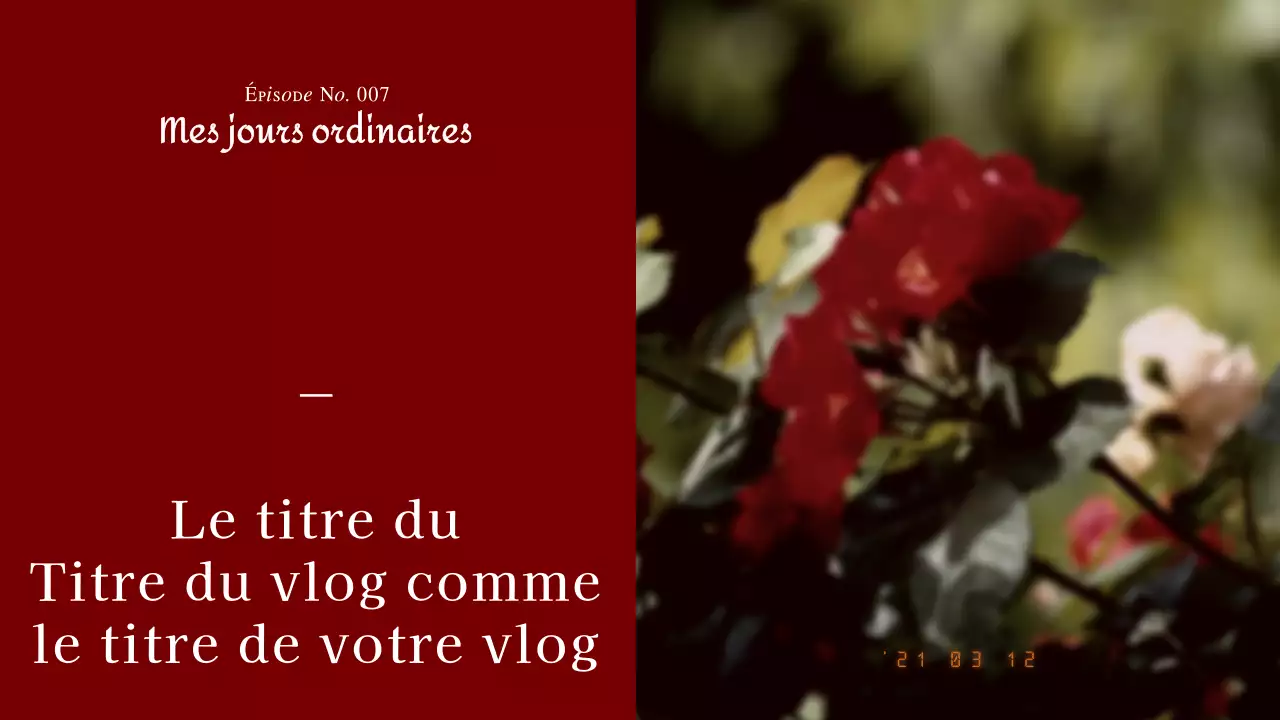 Emotional Film Photography of Red Wine Concept Diary Vlog