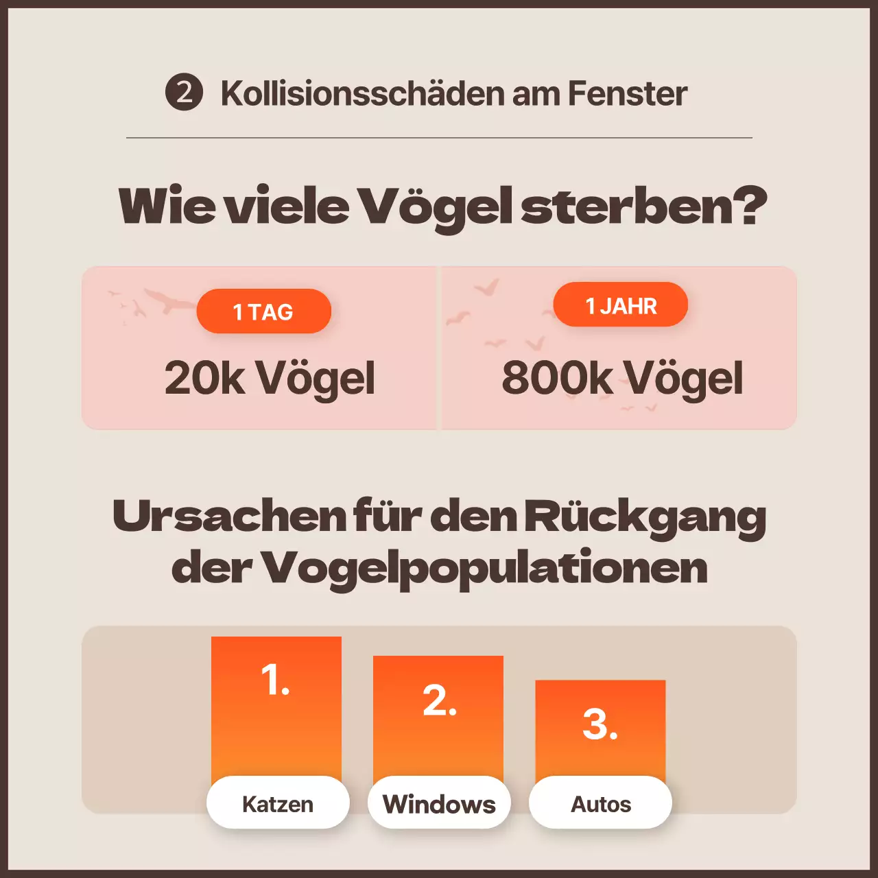 Eine saubere Kampagne gegen Vogelkollisionen mit orangefarbenen Akzenten