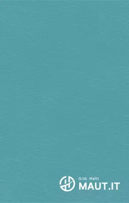 Eenvoudig Haïtiaans logo in de vorm van een symbolisch concept voor bedrijfspromotie