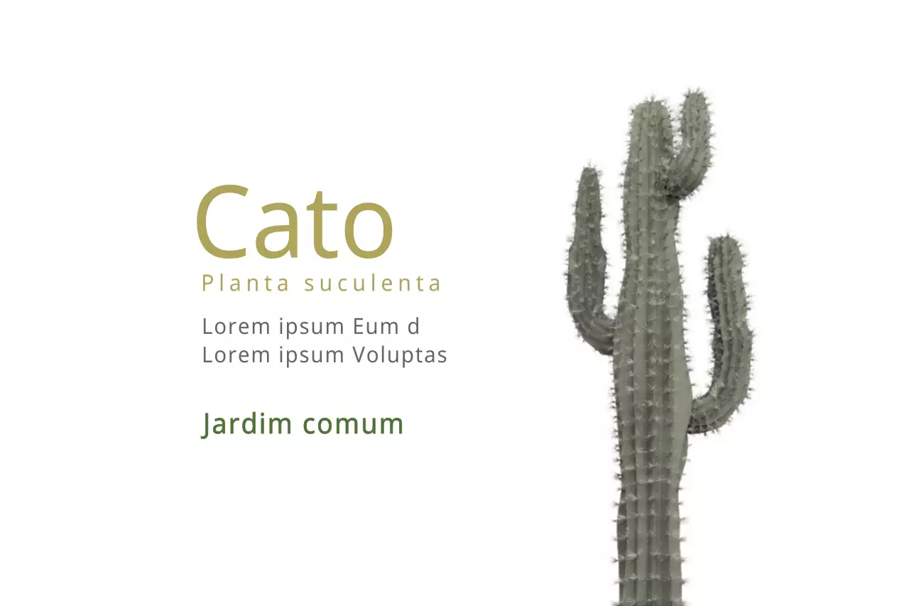 Cato