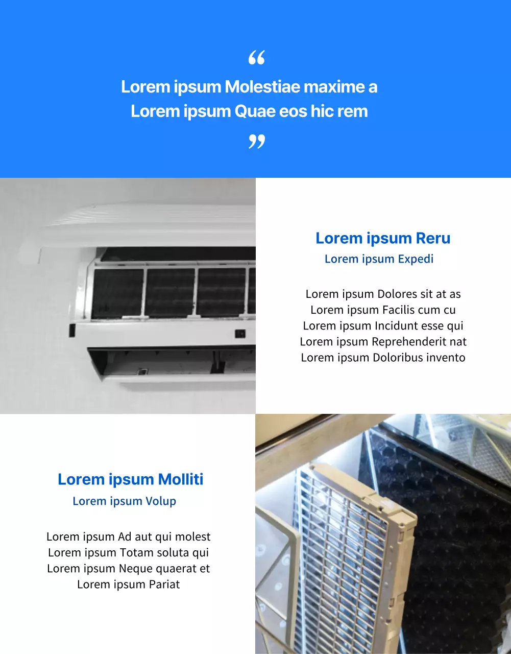 Blauer, sauberer und professioneller Reinigungsservice für Klimaanlagen (Detailseite)