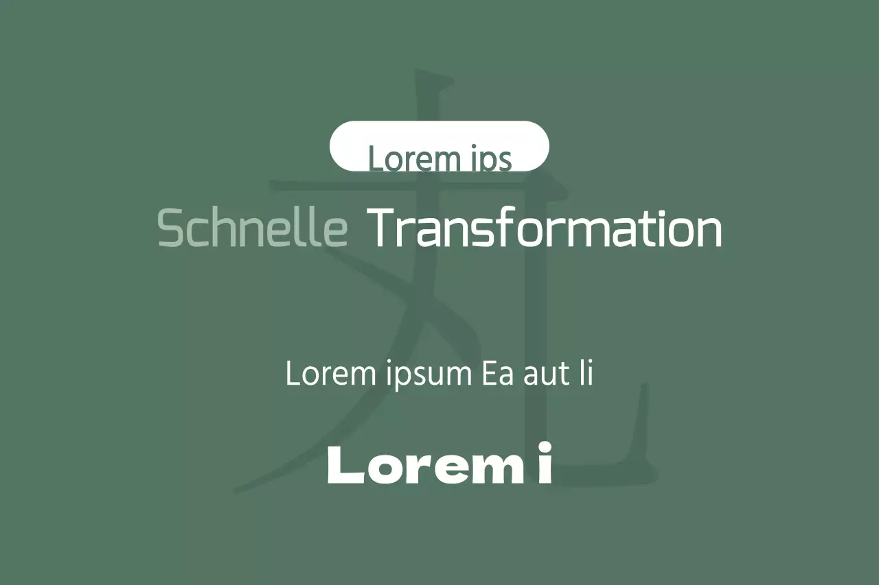 Schnelle Transformation