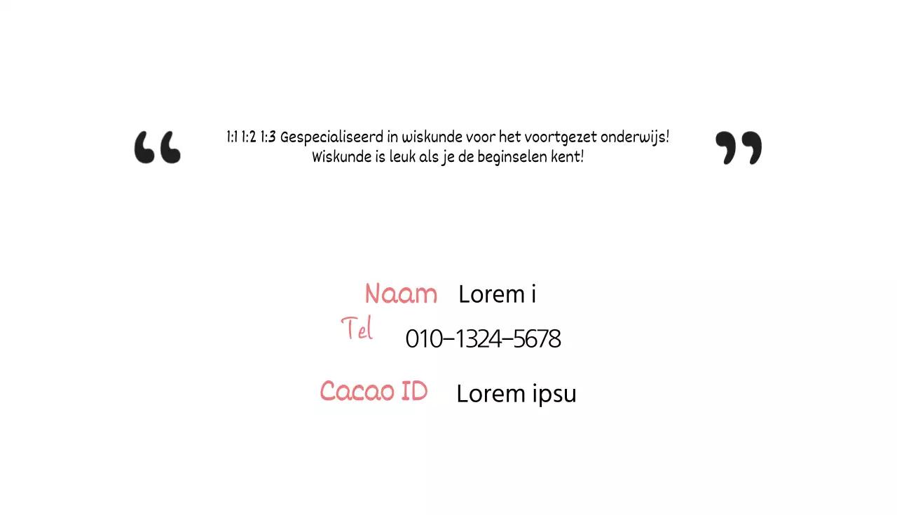 Sunsang Kim Bijles wiskunde