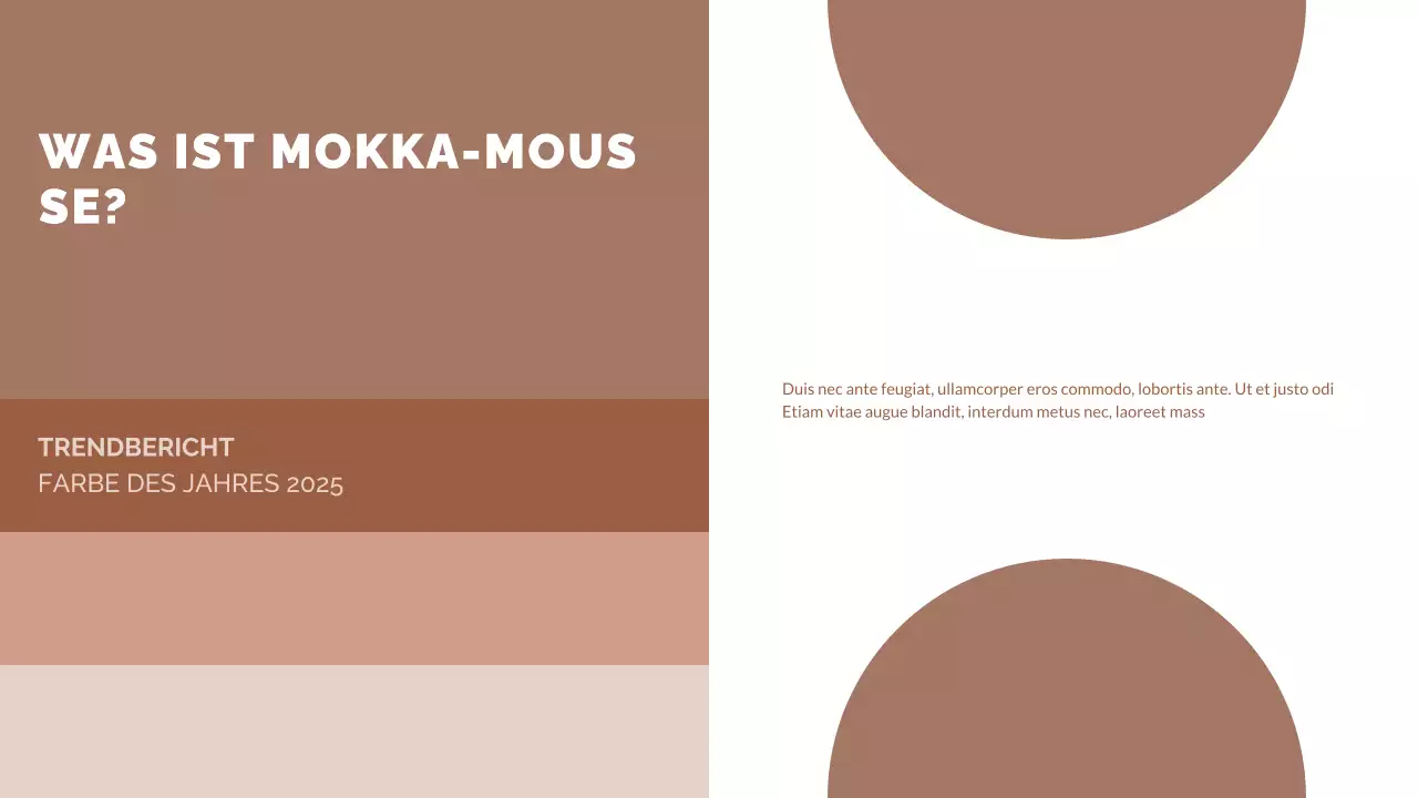 braun modern trend report Dokument