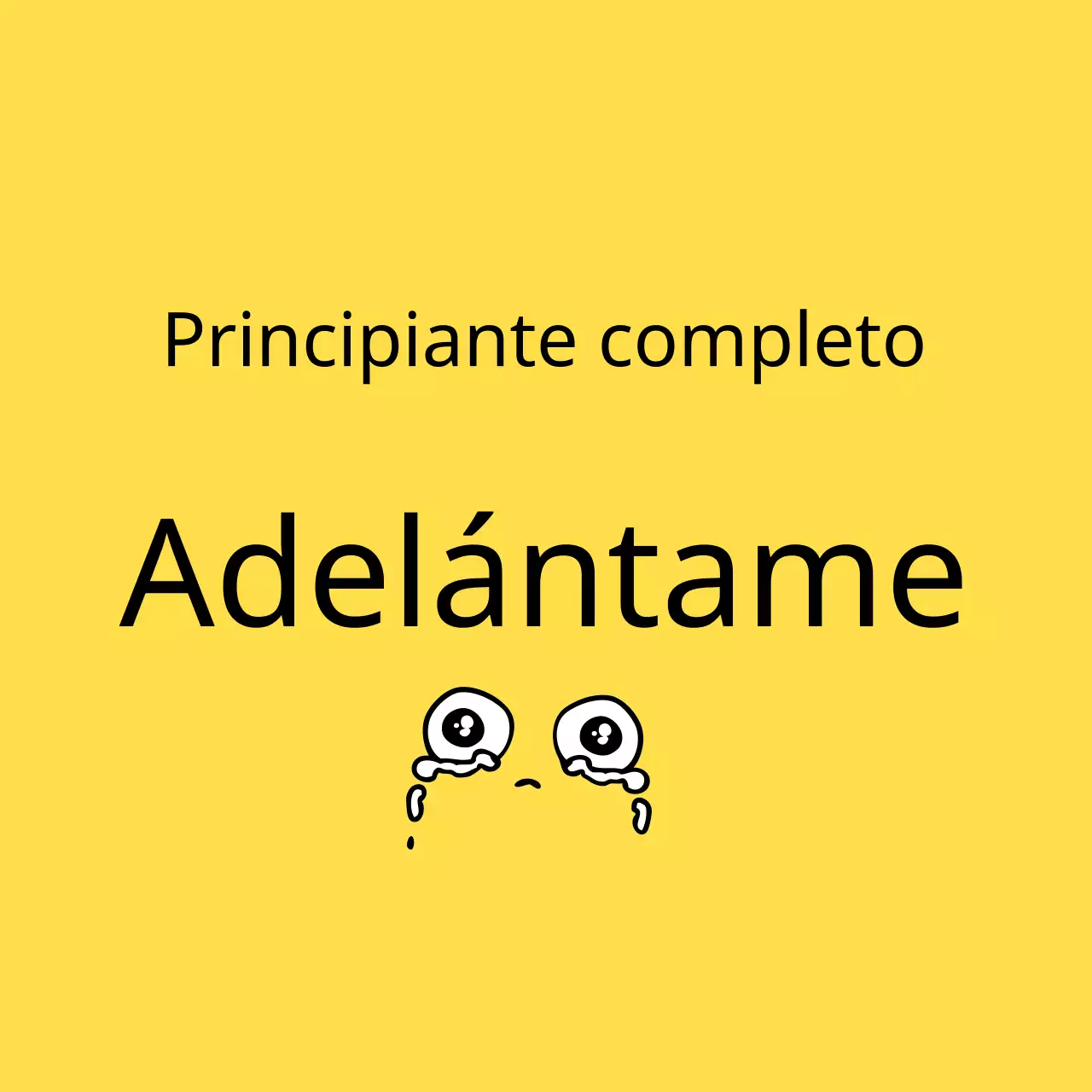 Guía Ilustrada Amarilla de la Conducción para Principiantes