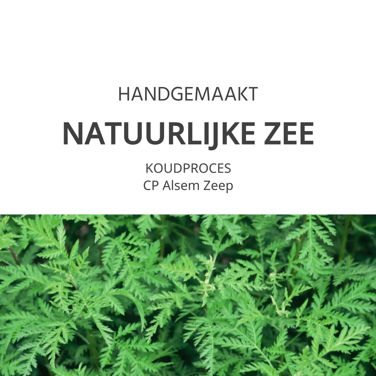 Natuurlijke zeep