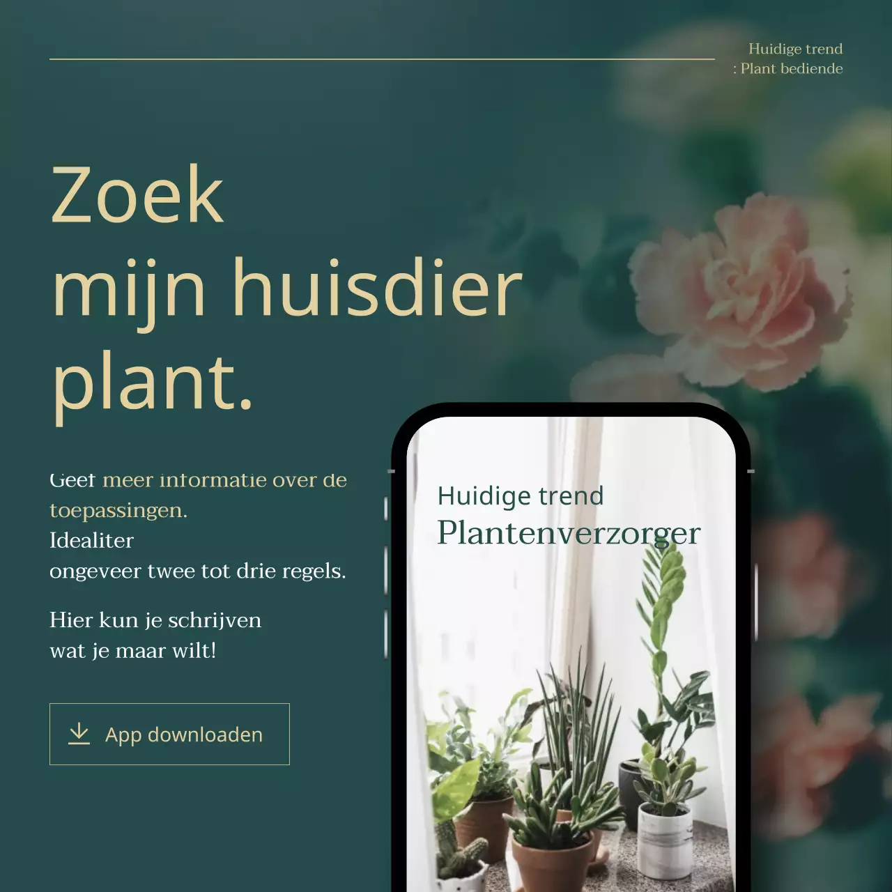 Uitleg over groene en gouden trendy huisdierenplanten