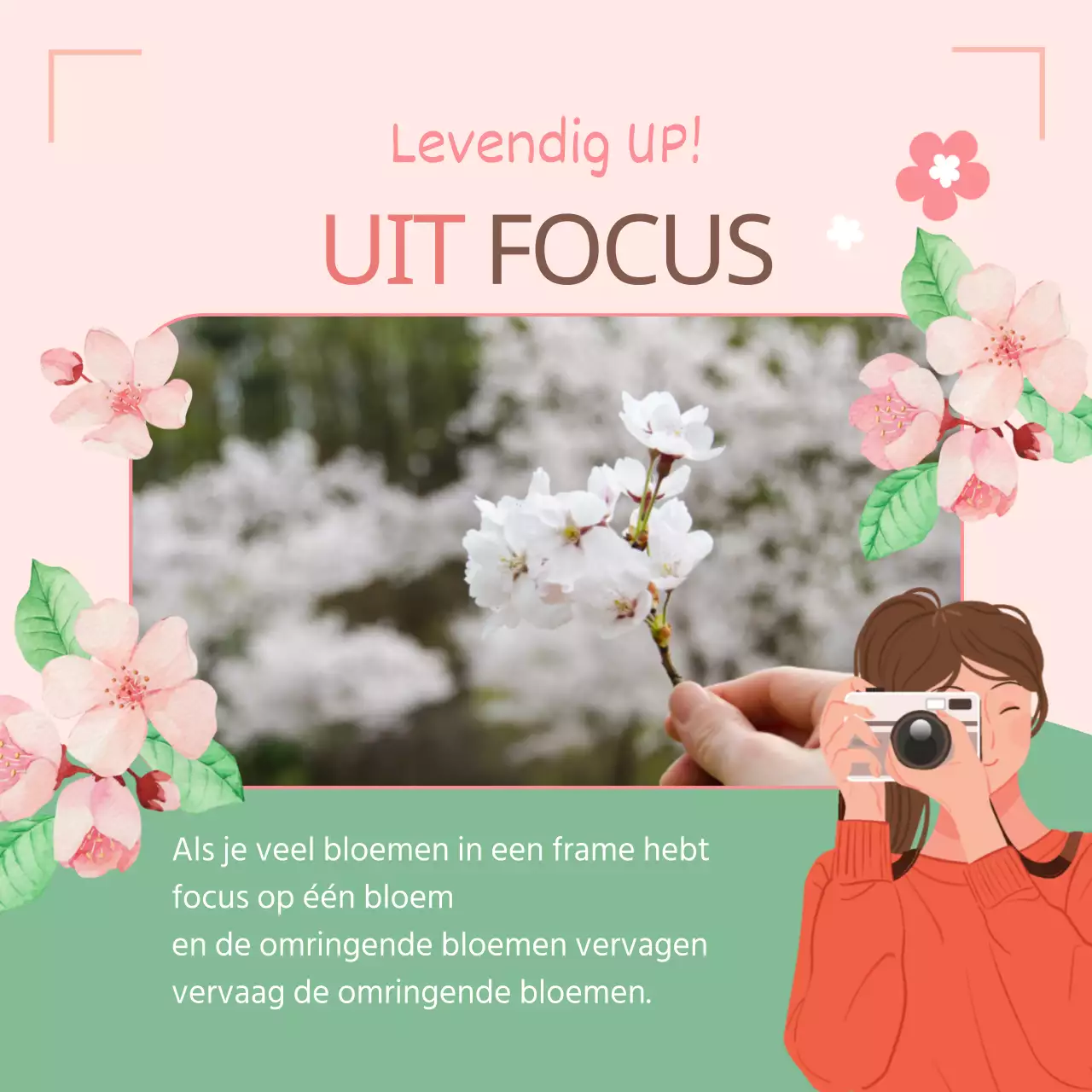 4 Tips voor het fotograferen van het Lentebloemenfestival in Roze Productpromotie