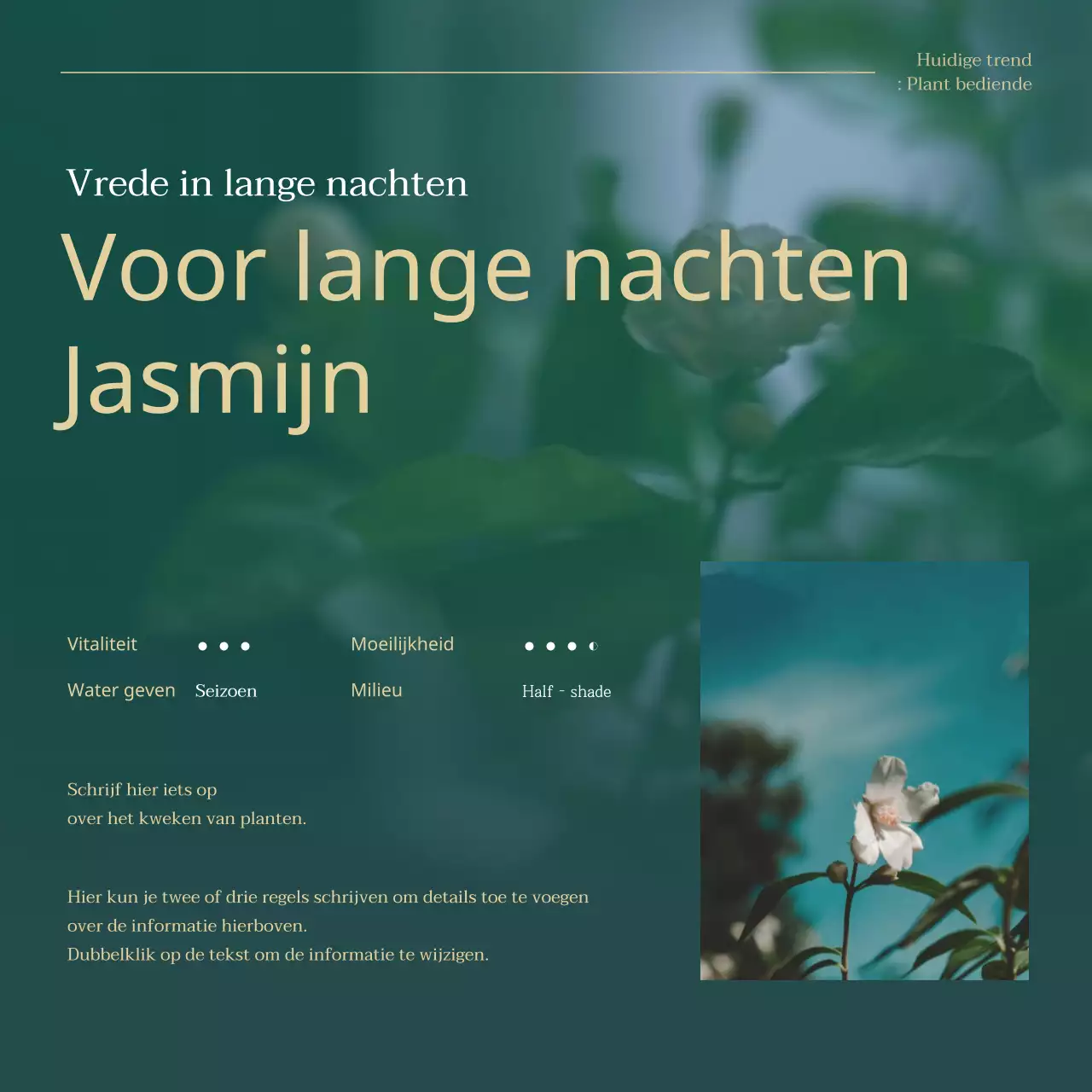 Uitleg over groene en gouden trendy huisdierenplanten