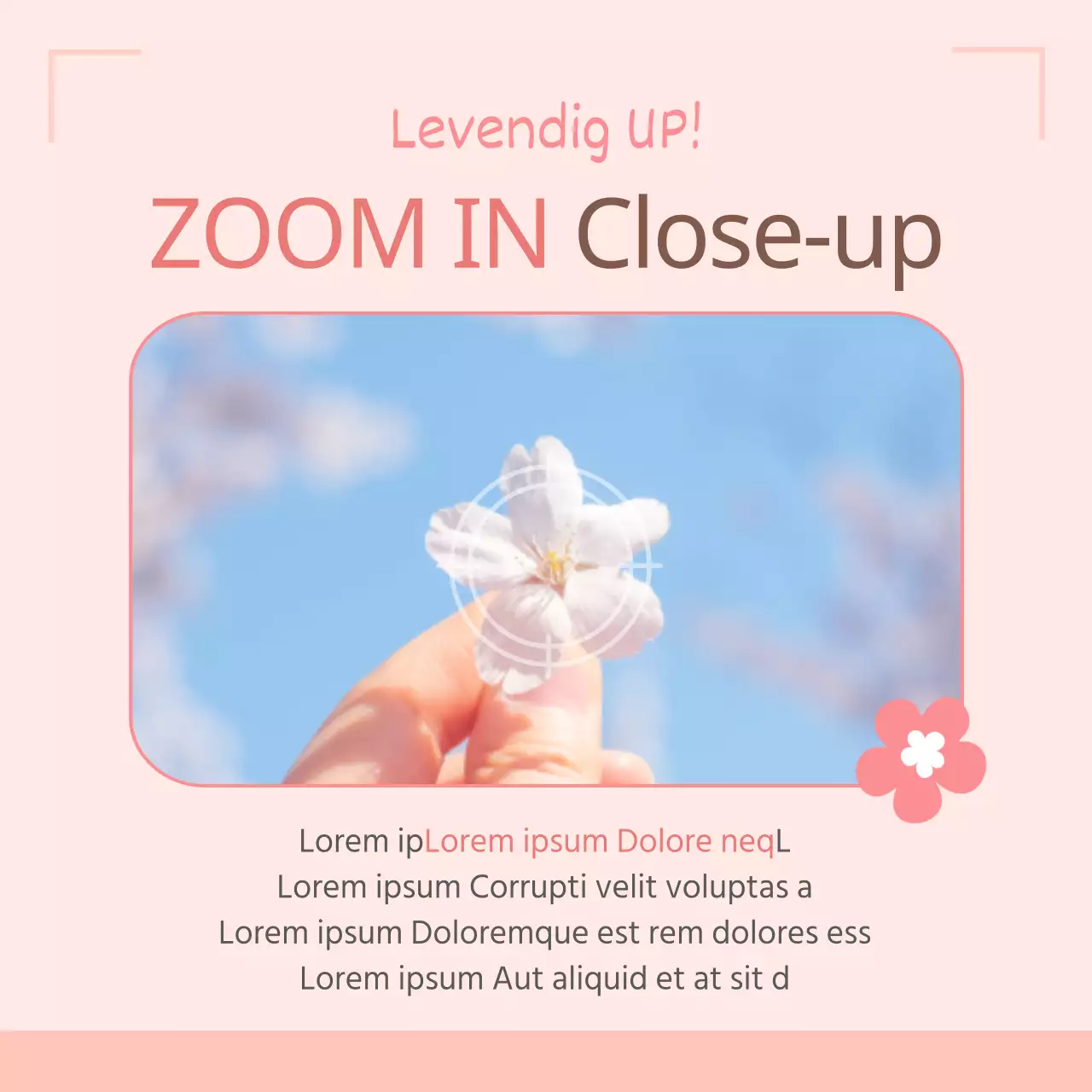 4 Tips voor het fotograferen van het Lentebloemenfestival in Roze Productpromotie