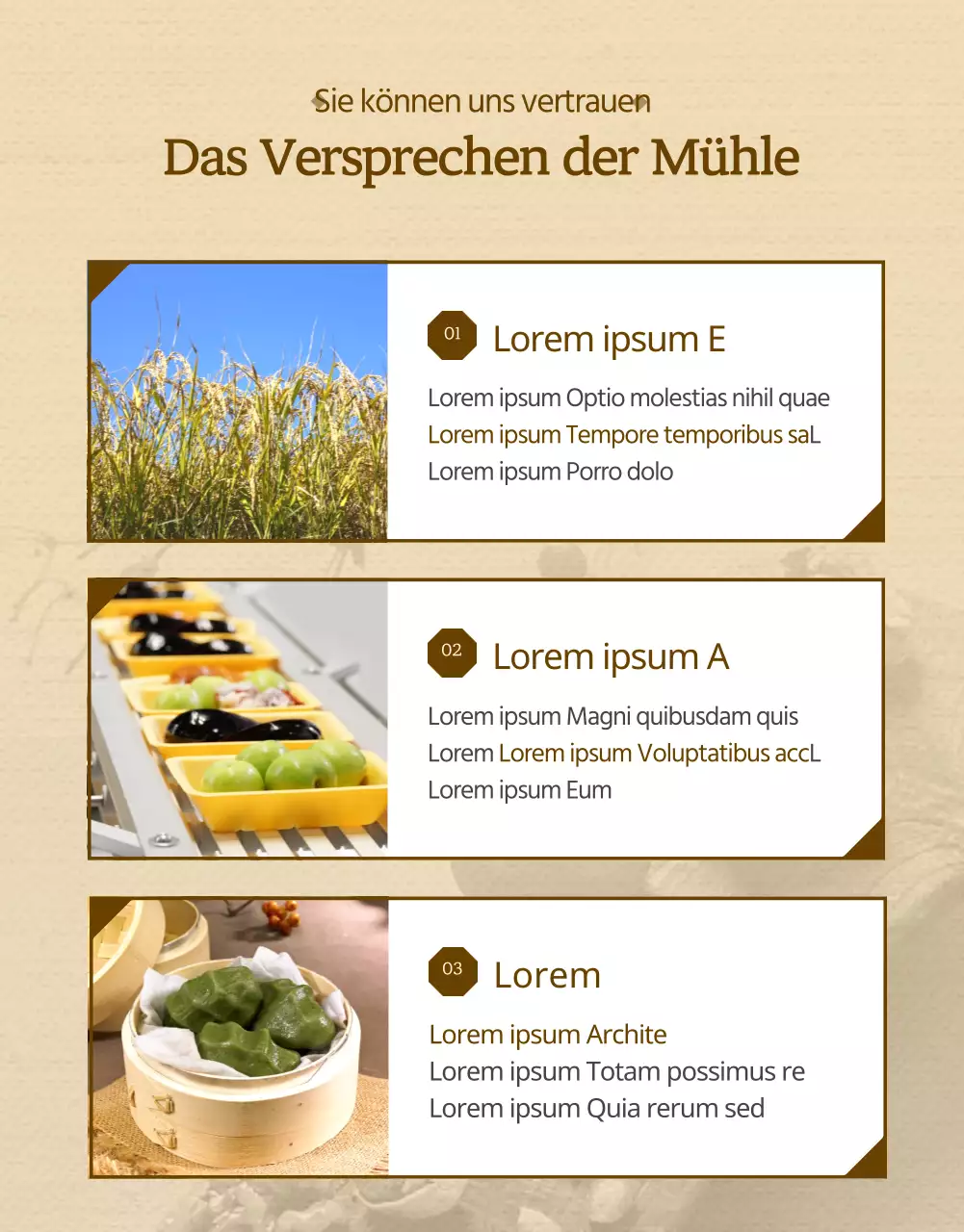 Einzelheiten zu den traditionellen braunen Reiskuchen zum Verkauf