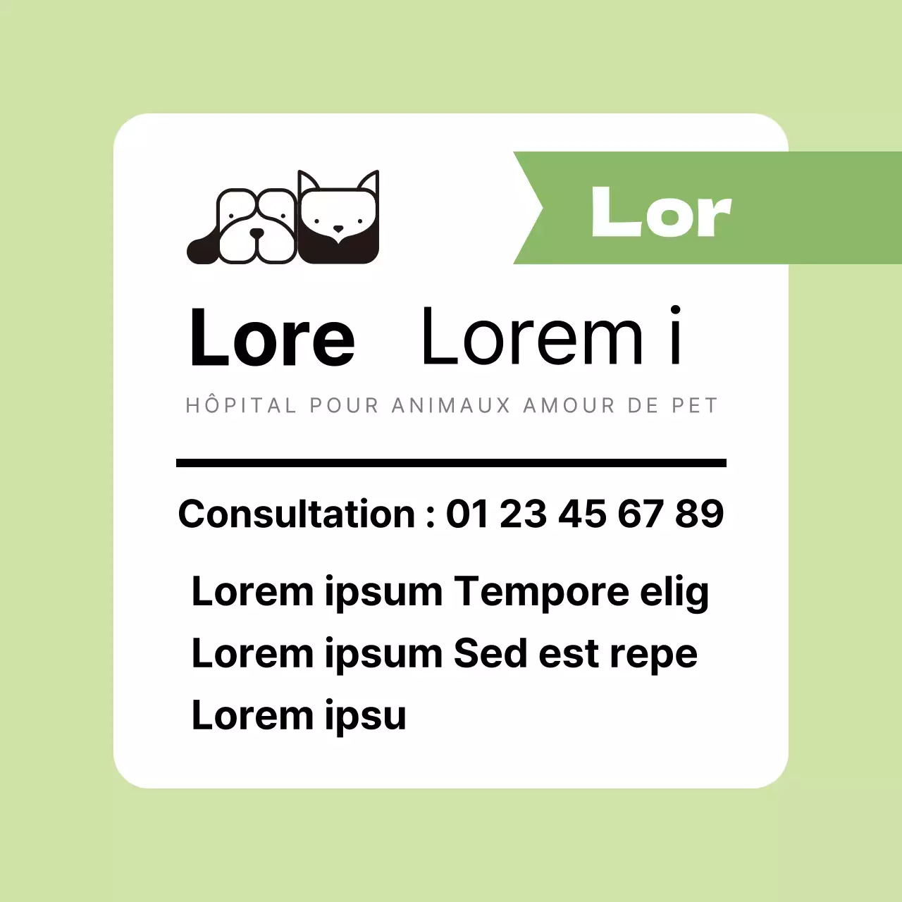 Visites vétérinaires avec cadre vert clair