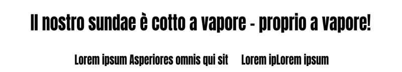 Striscione Zinida_Garo