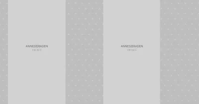 Sieradenwinkel Grijs Eenvoudig Patroon