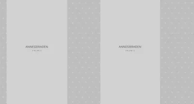 Sieradenwinkel Grijs Eenvoudig Patroon