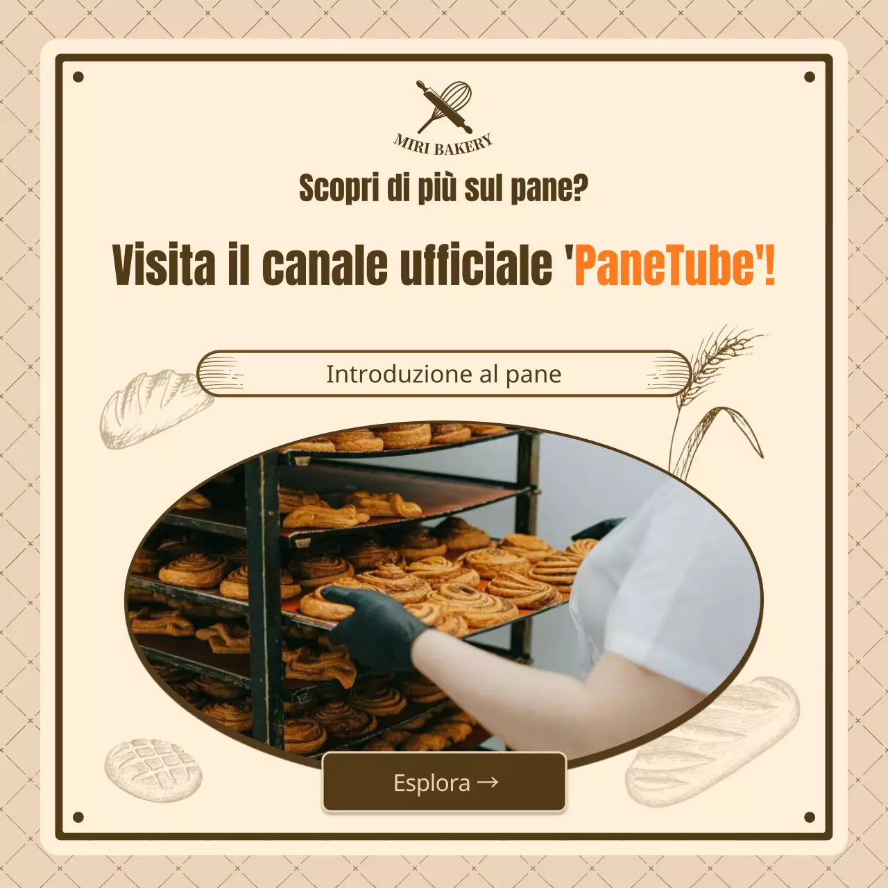 Conoscere i pani vintage marroni e beige