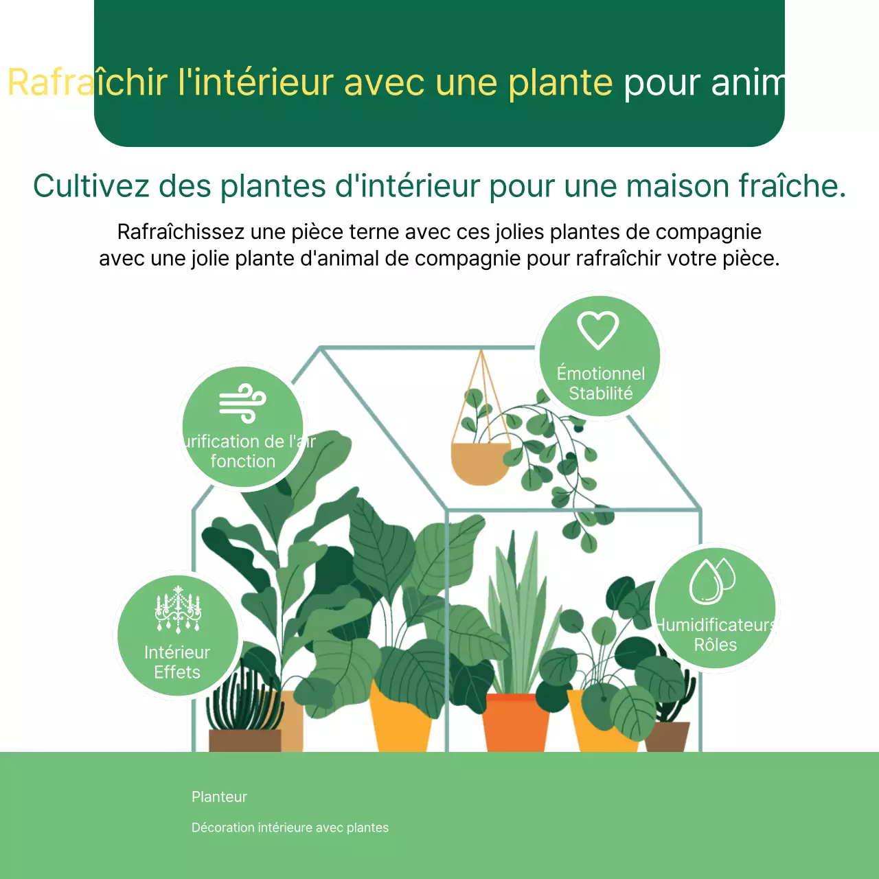 Informations illustrées en vert sur les animaux de compagnie