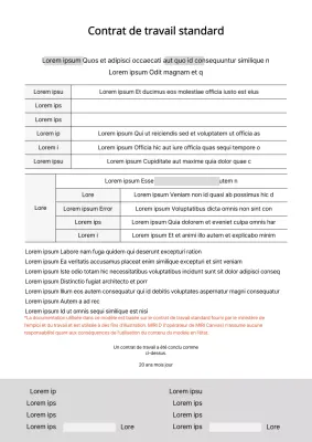 Formulaire de documentation du contrat de travail type