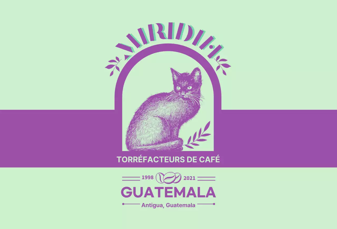 Un guide des marques et des grains de café avec un design typographique vert lime et violet3