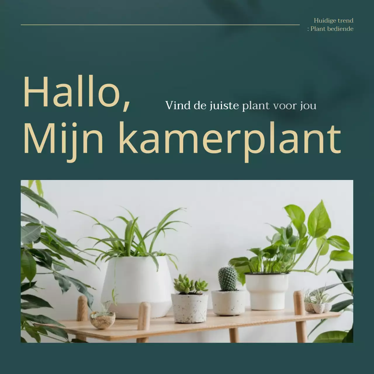 Uitleg over groene en gouden trendy huisdierenplanten