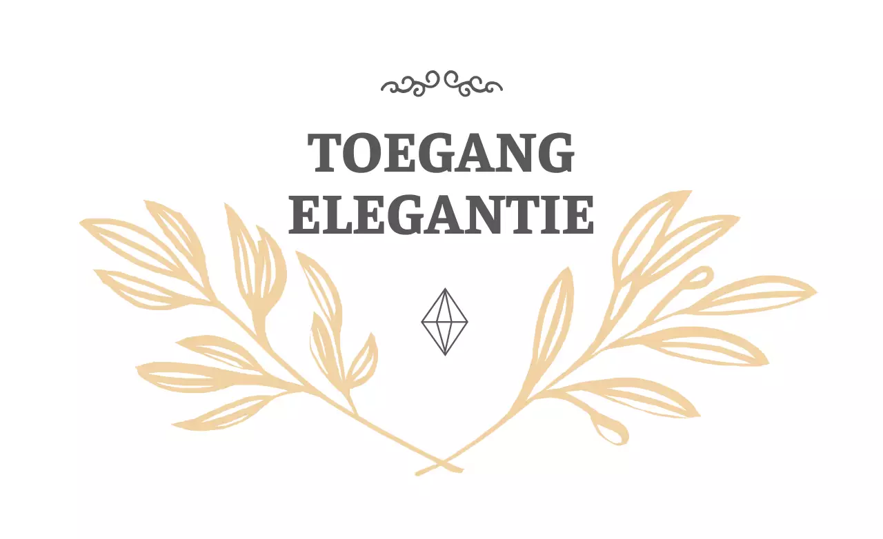 ACCESSOIRE ELEGANTIE