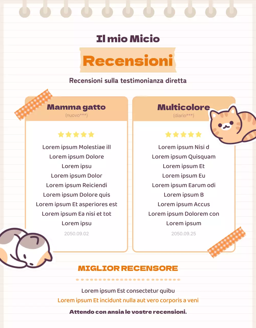 Vi presentiamo la simpatica scatola casuale di cancelleria Cat Daku arancione e beige