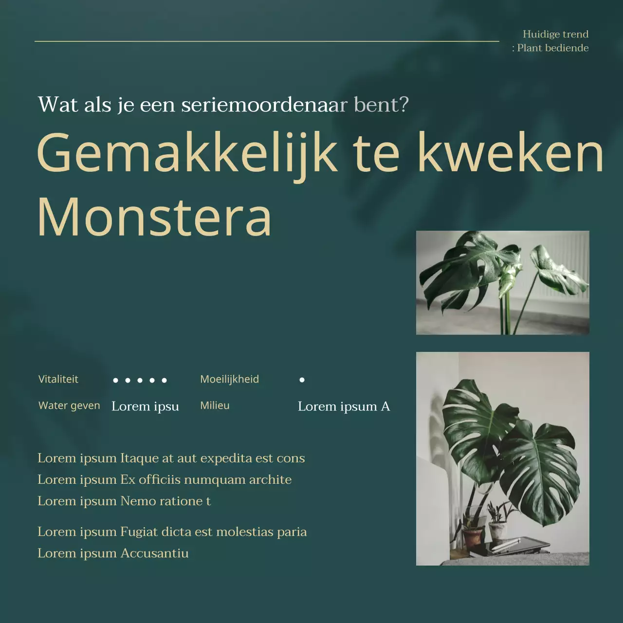 Uitleg over groene en gouden trendy huisdierenplanten