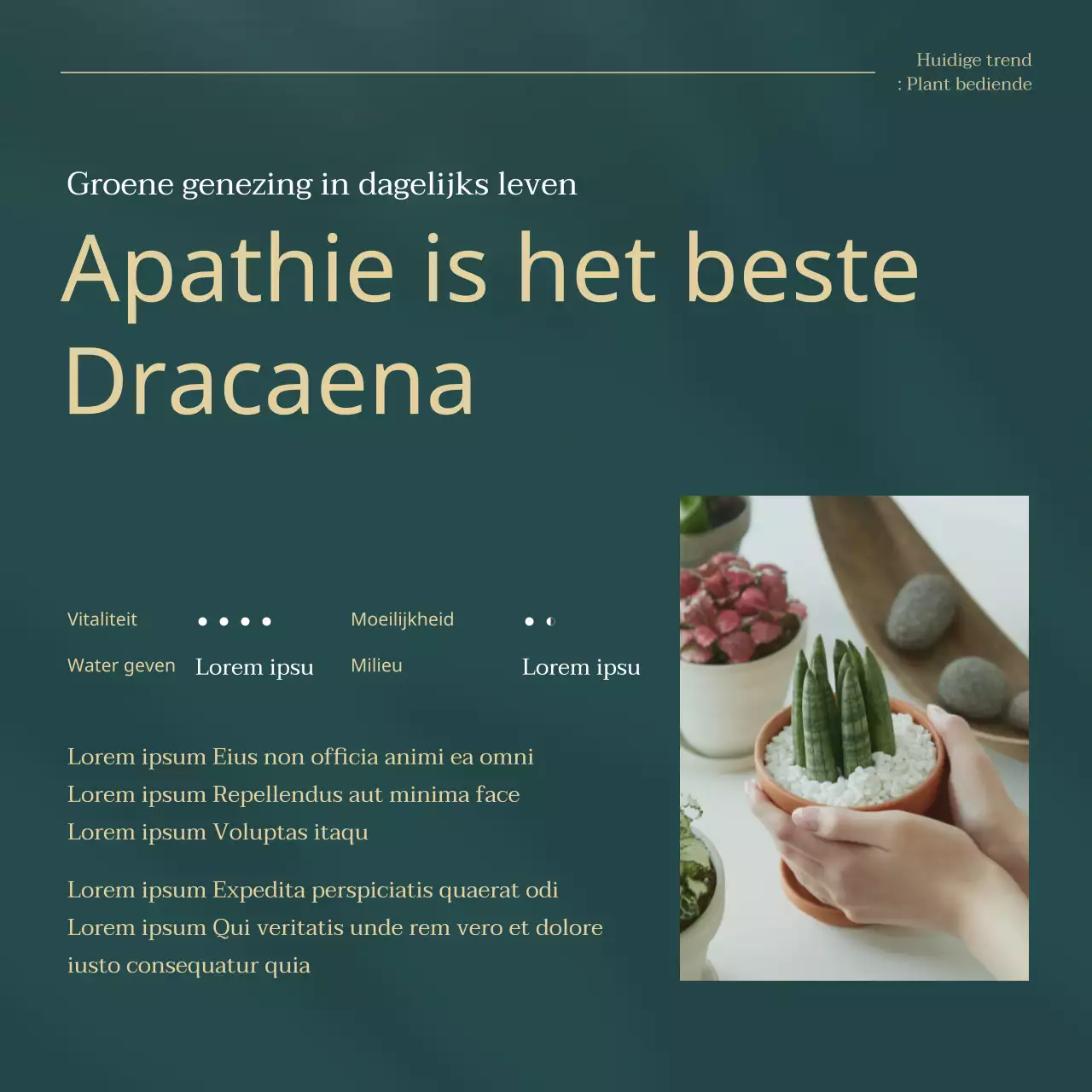 Uitleg over groene en gouden trendy huisdierenplanten