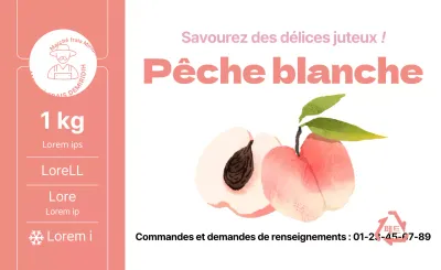 Illustration des produits de l'été, pêche, autocollants simples par couleur