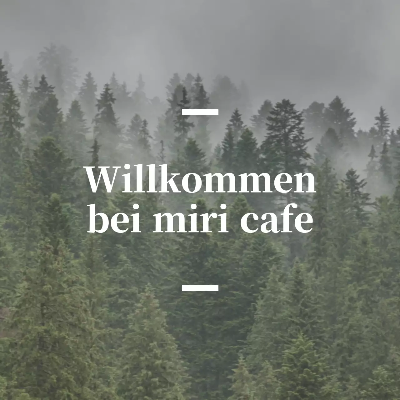 Englischsprachiges Cafe Balsa mit sentimentaler Beschilderung mit einem Foto eines Waldes.